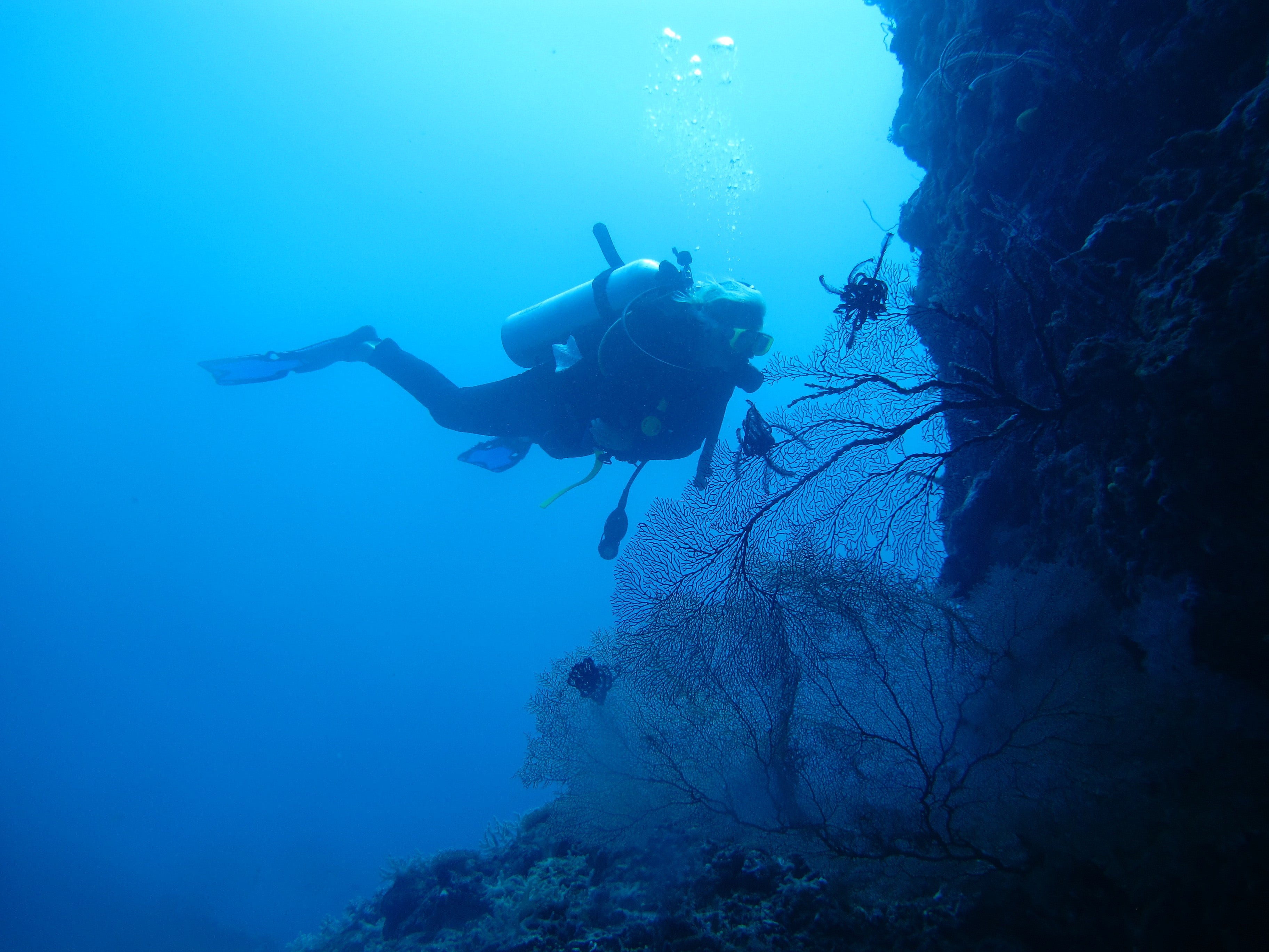 EQUALIZATION ISSUES IN SCUBA DIVING: ONE SIMPLE TRICK TO KEEP IN YOUR {BCD} BACK POCKET