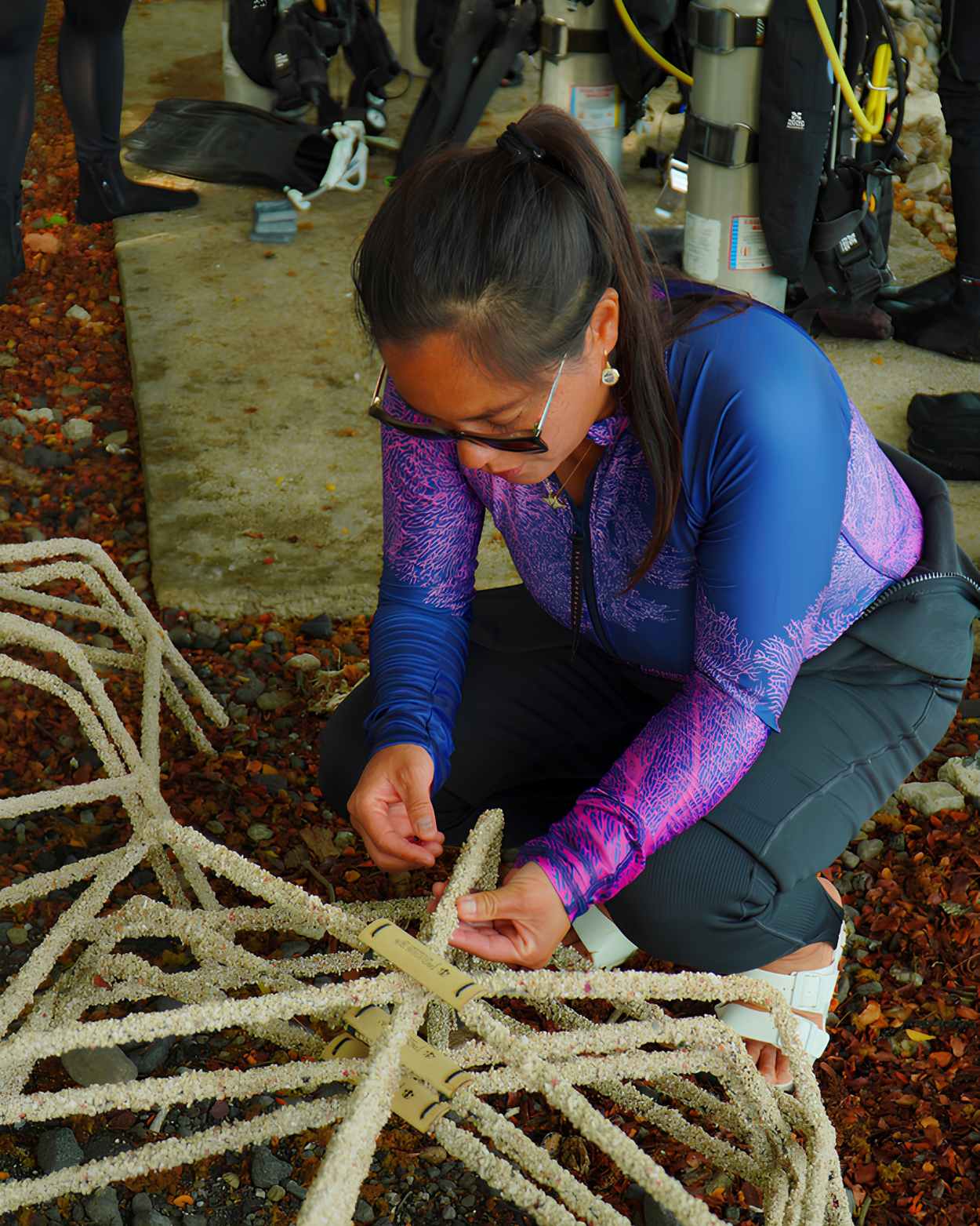 planting corals in dive skin