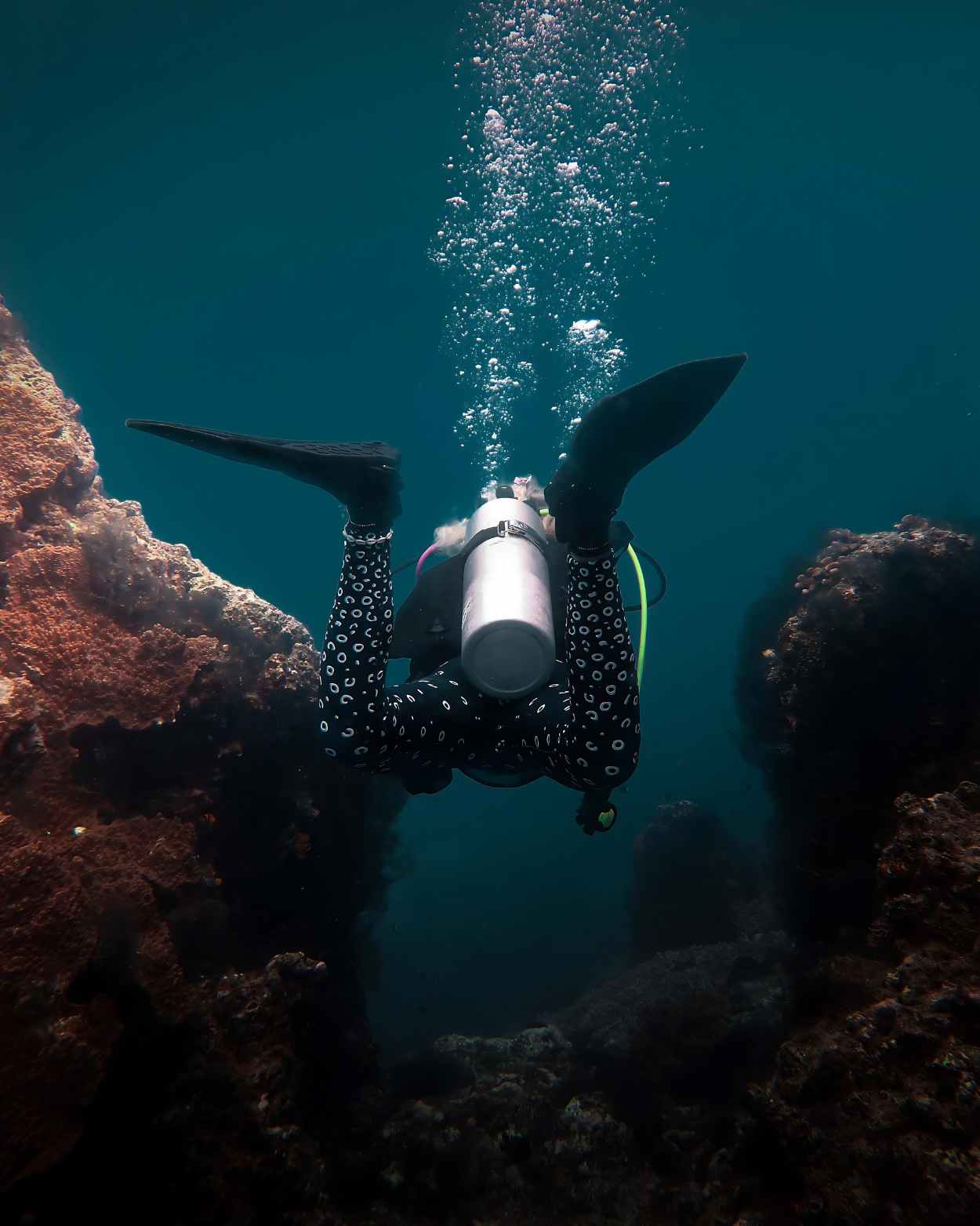 scuba diving leggings