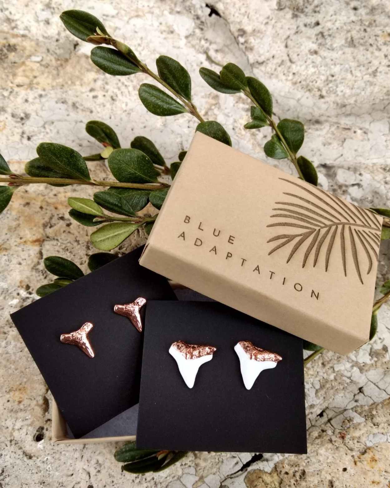 shark tooth jewelry