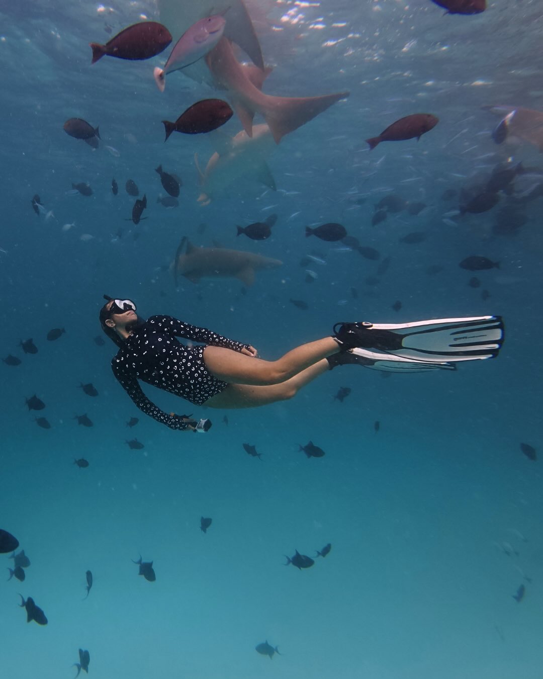 freediving swimsuit
