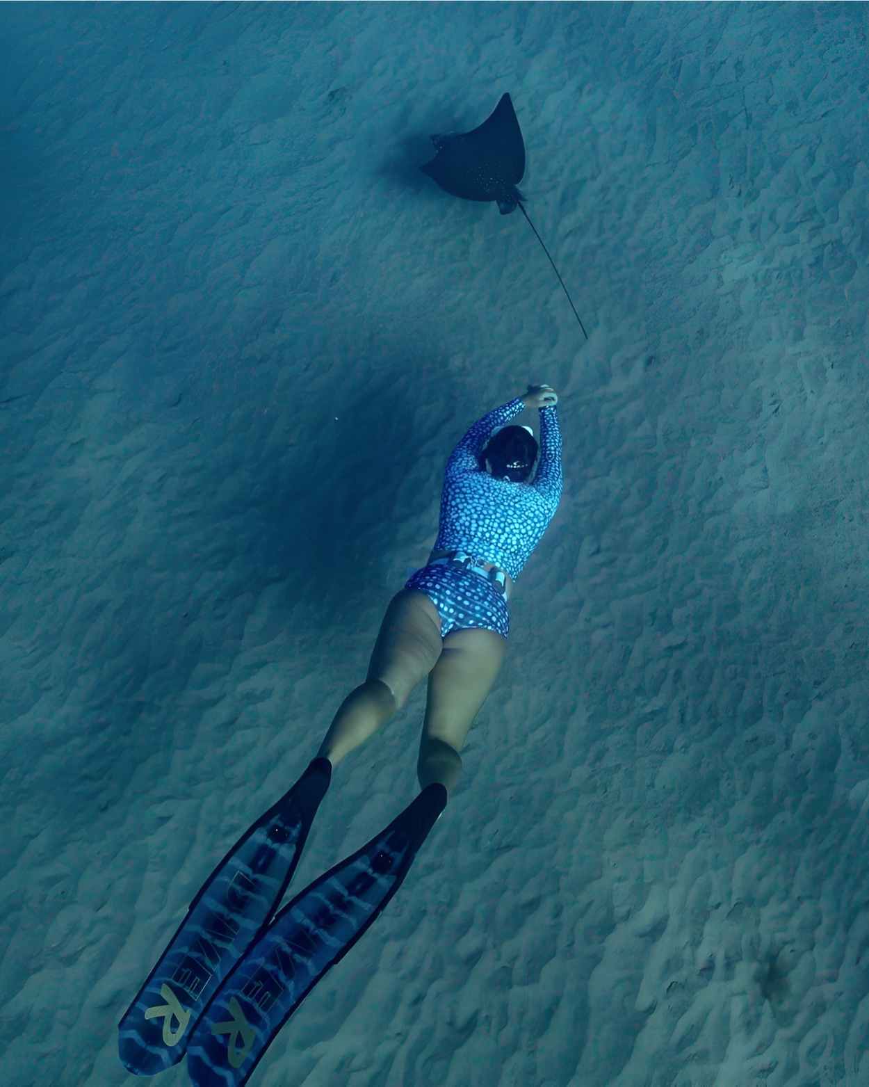 whale shark suit