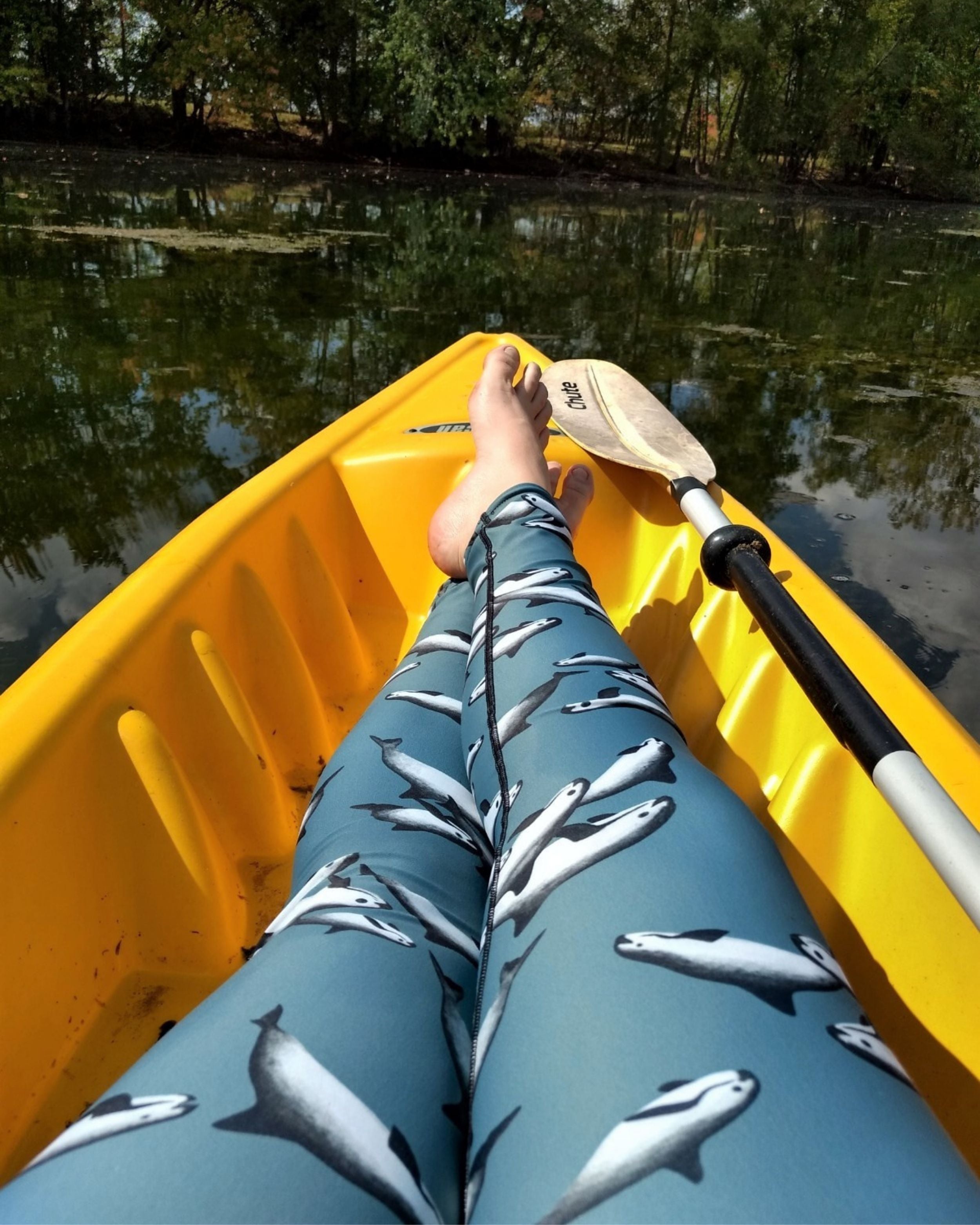 Vaquita porpoise dolphin leggings