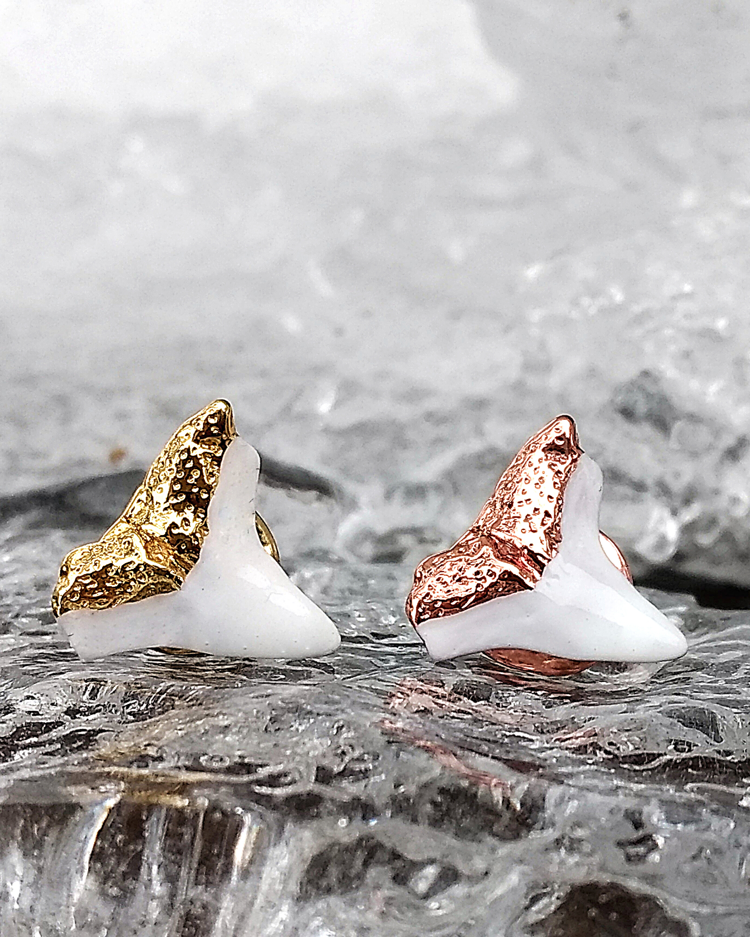 gold shark teeth earrings