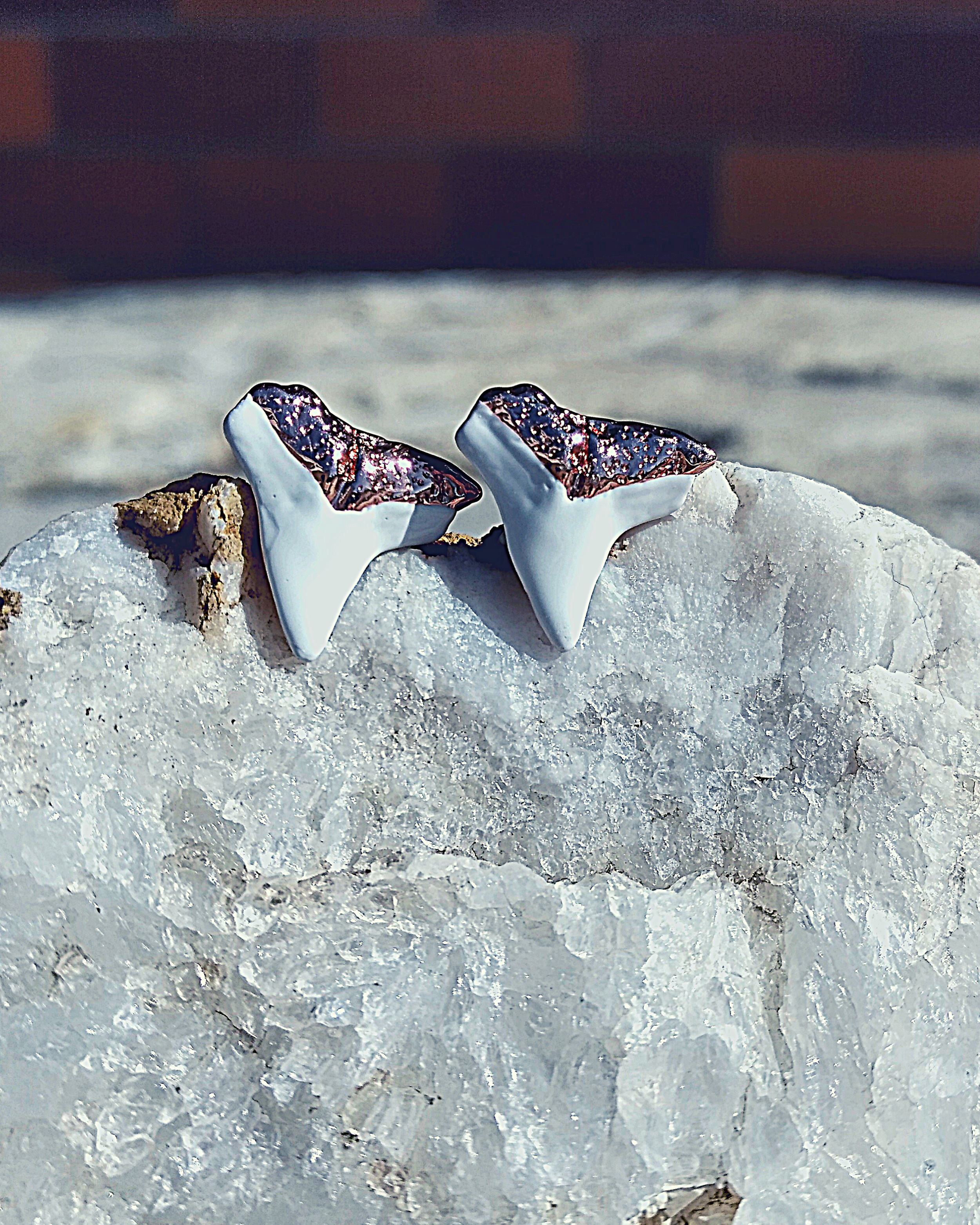 shark teeth earrings