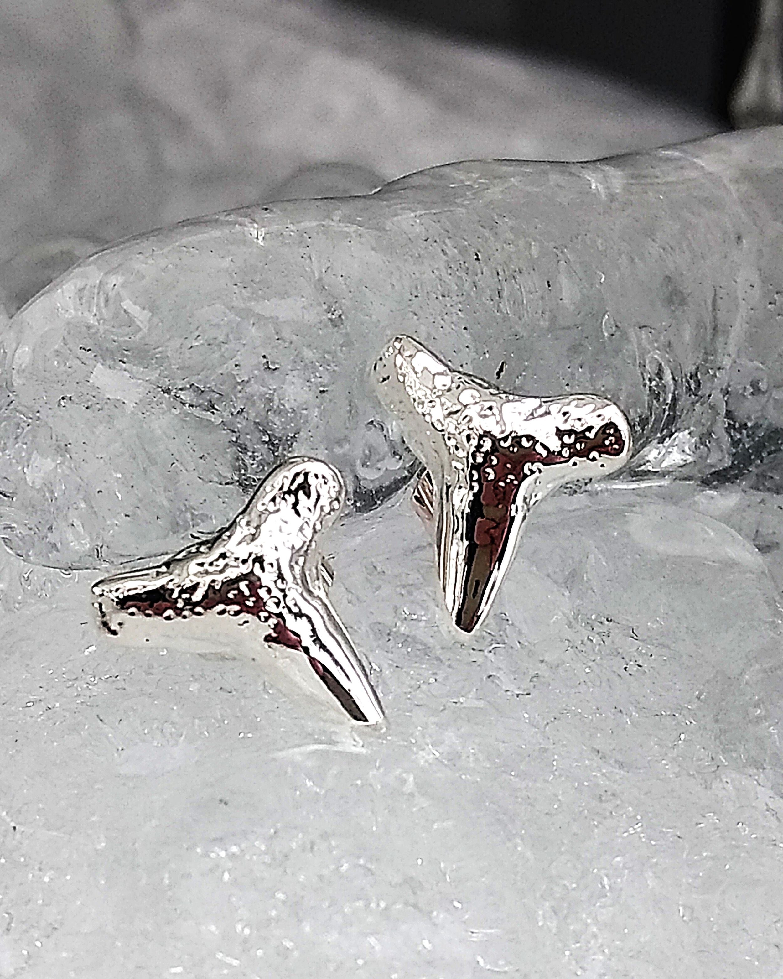 shark tooth earring