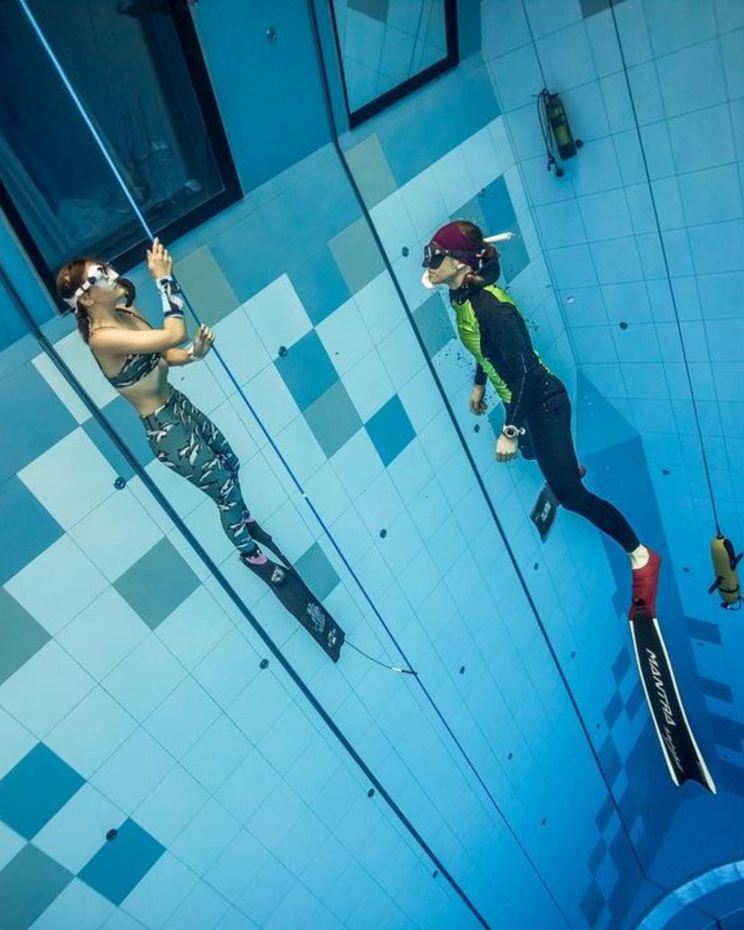 free dive leggings
