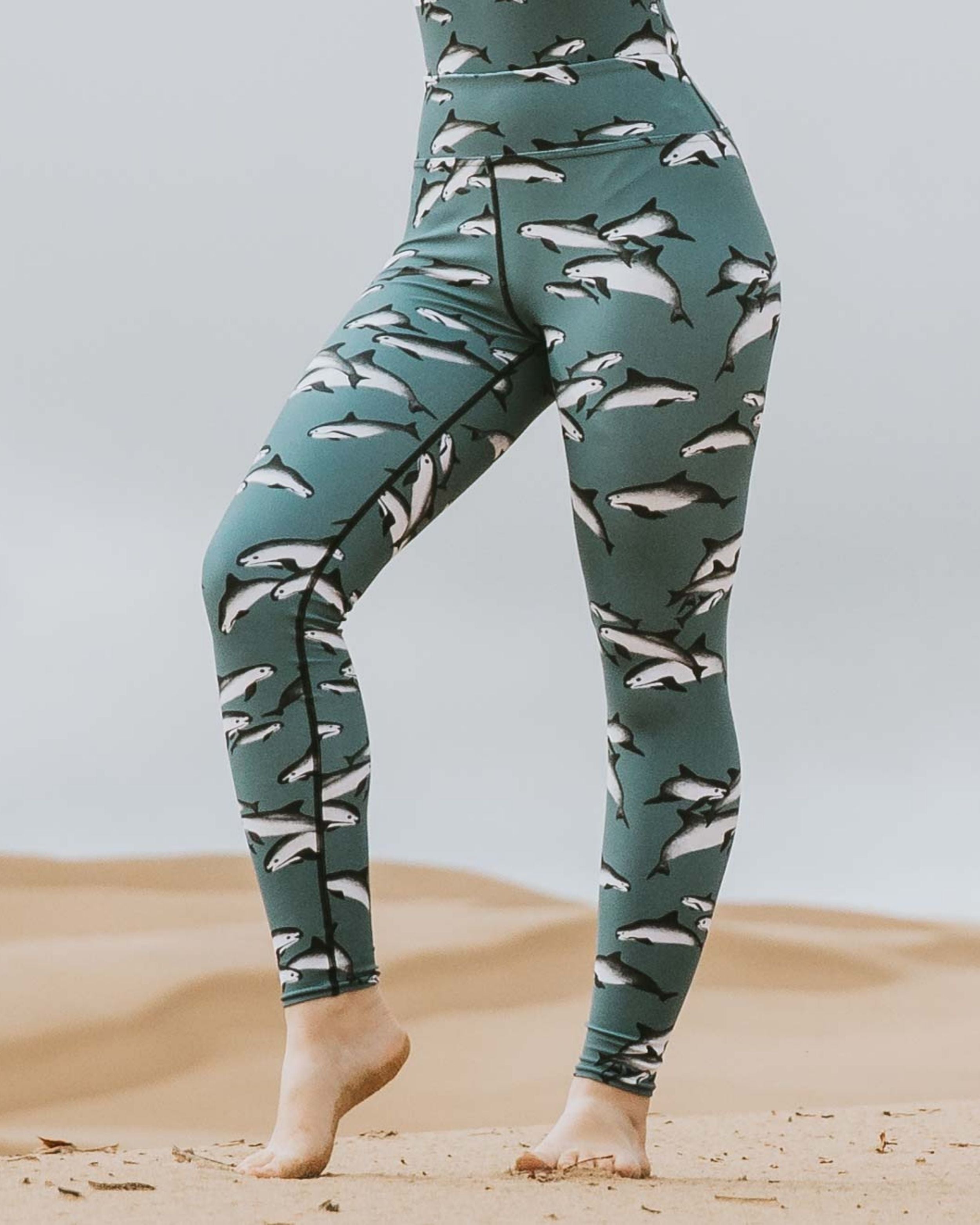 vaquita porpoise dolphin legging