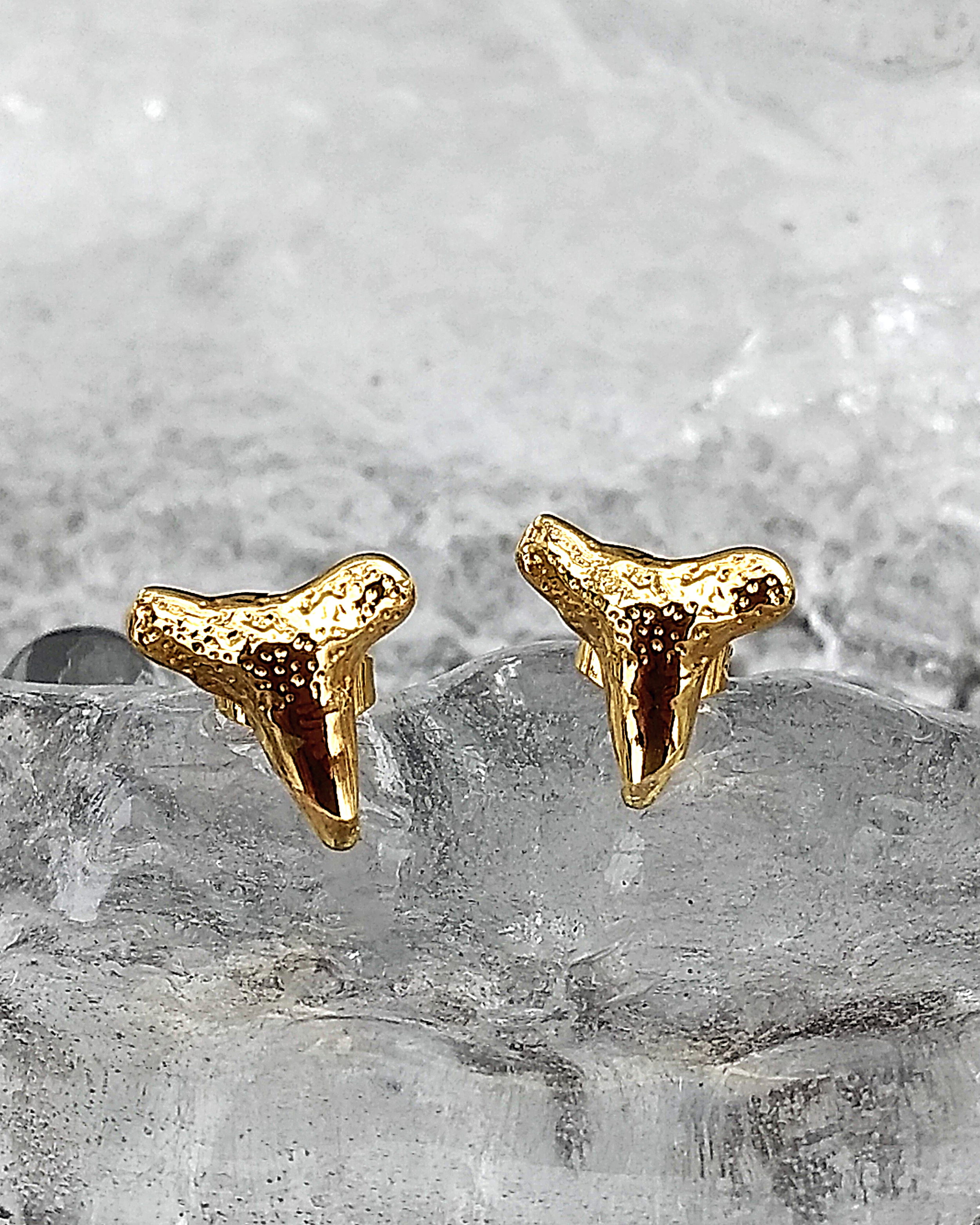 gold shark tooth earring