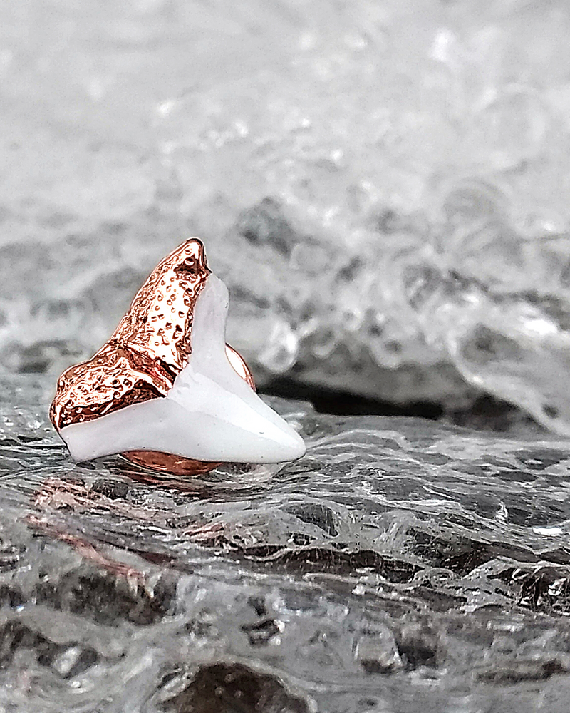rose gold shark tooth earring