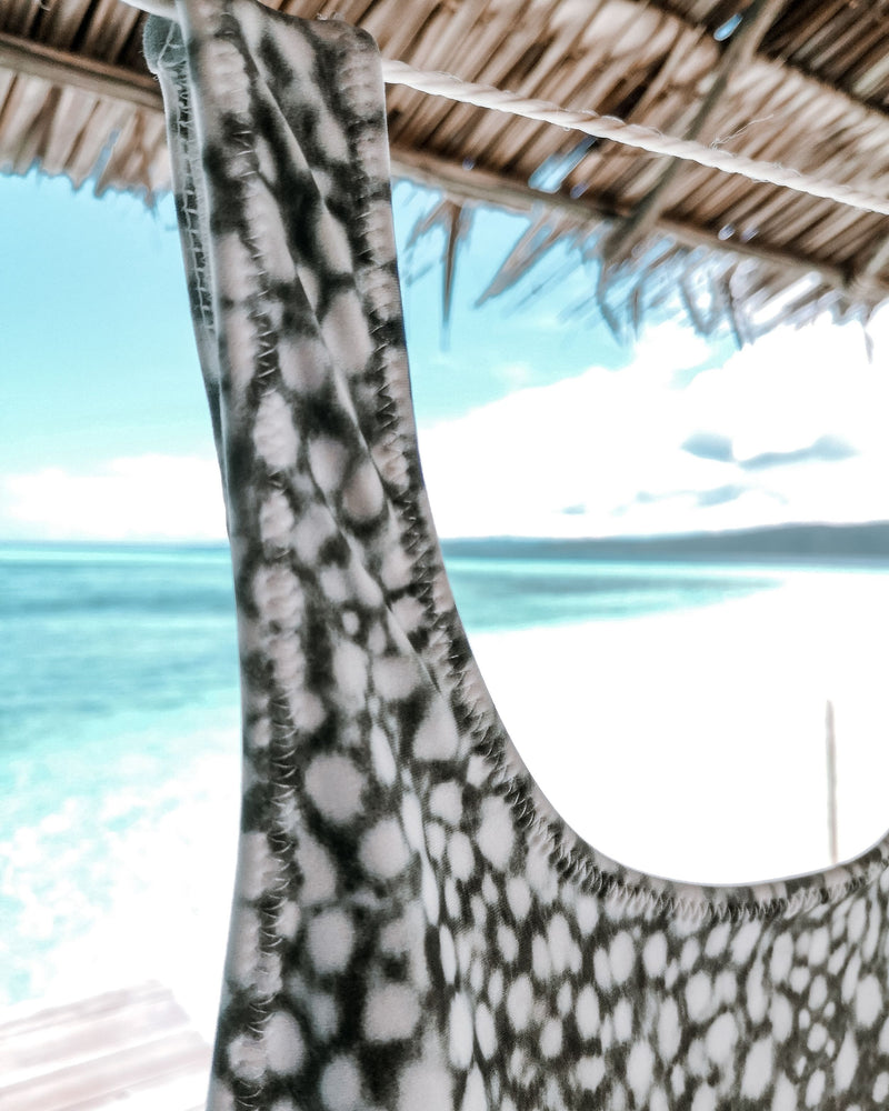 Whale Shark Print Swimwear