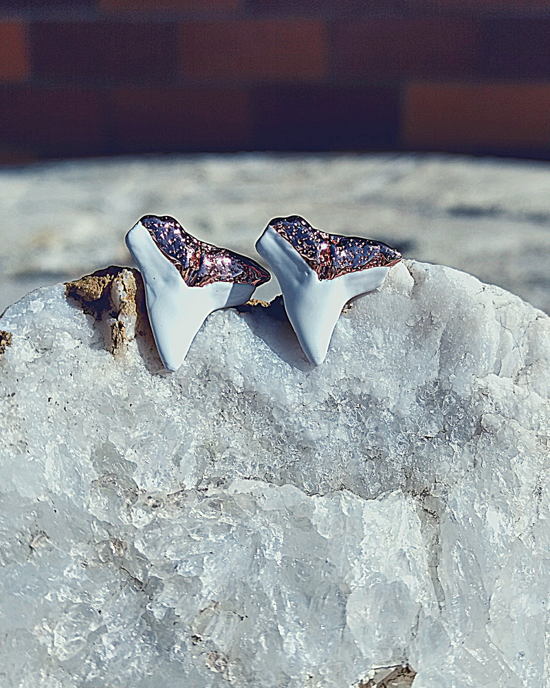 Shark hot sale stud earrings