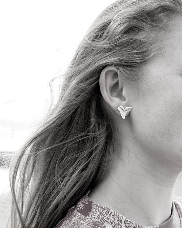 shark tooth earring