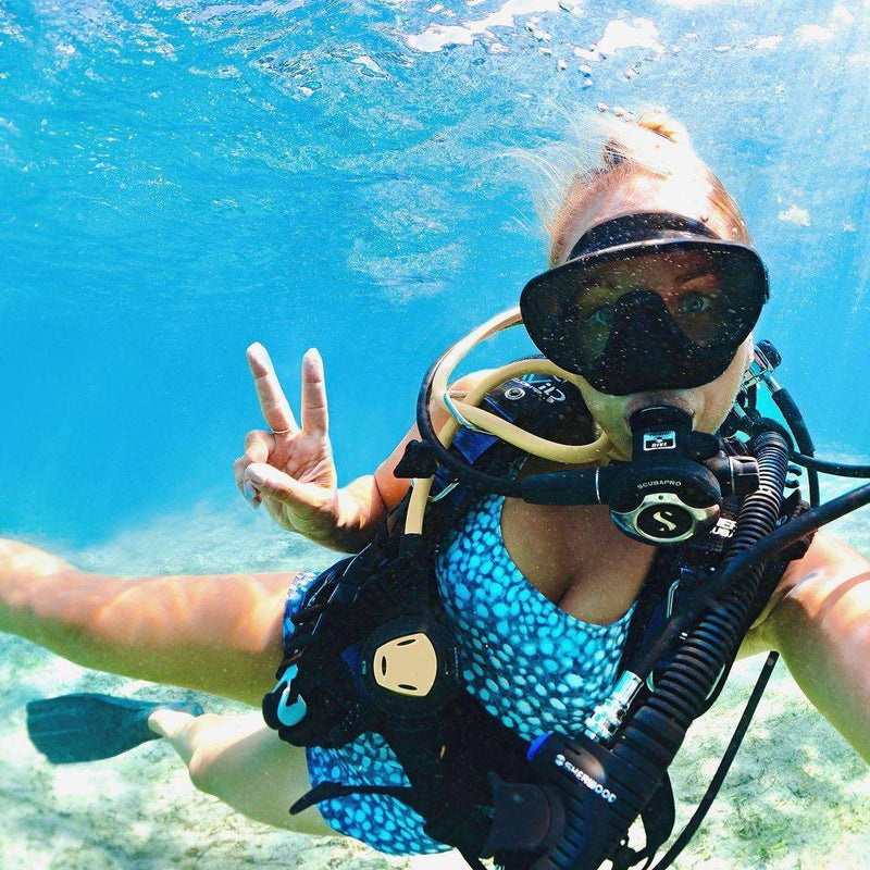 Whale Shark Dive Wet Suit